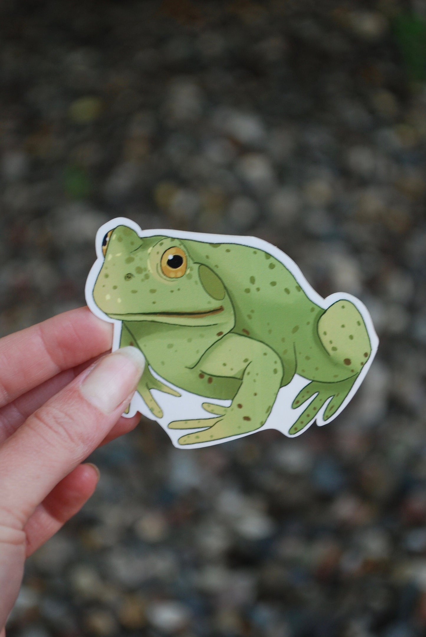 Hand-Drawn Frog Sticker: Waterproof Laptop Decal