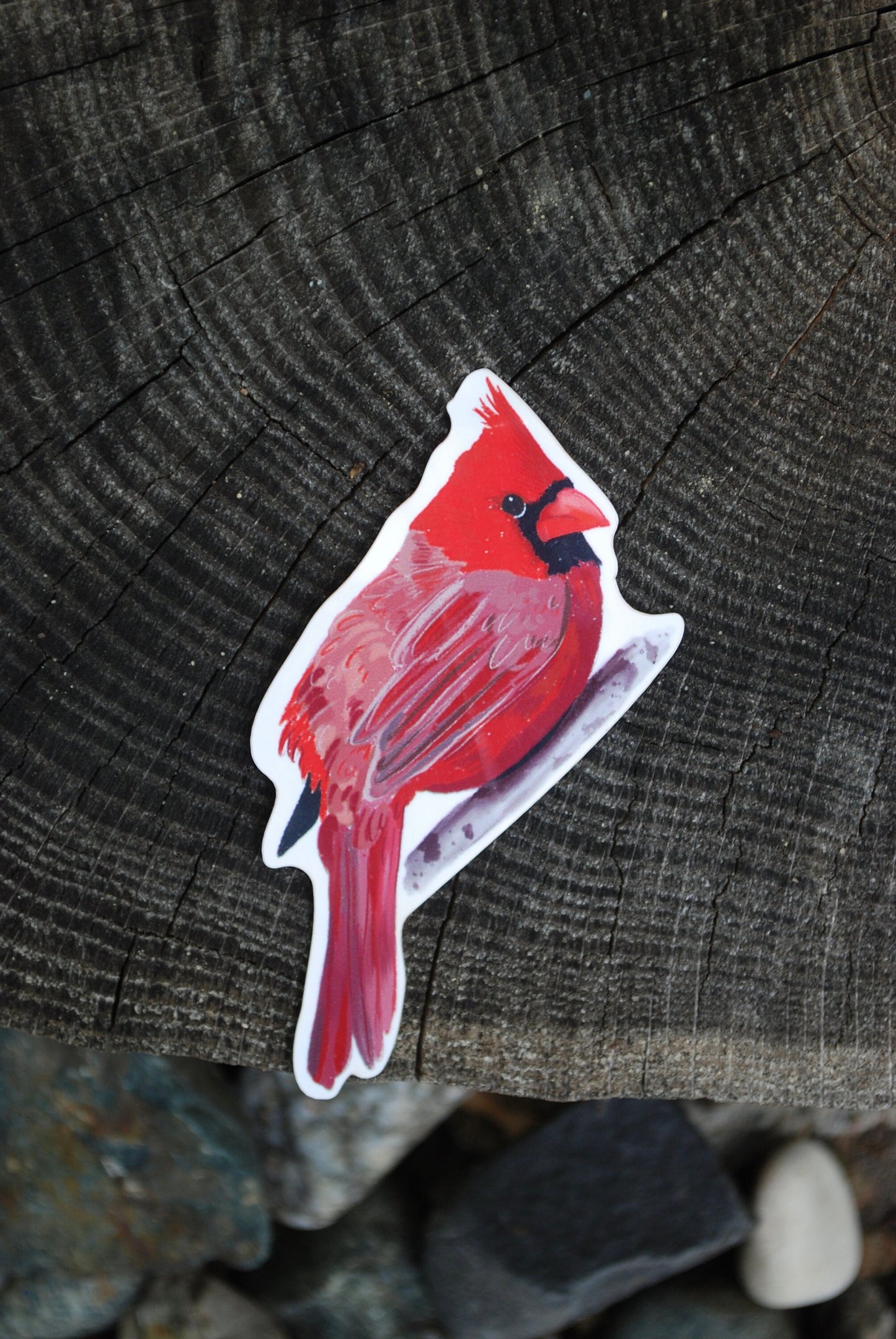 Cardinal Sticker: Waterproof Bird Decal, Hand-Drawn Art