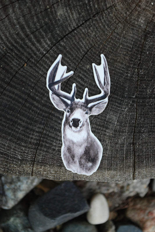 Deer Sticker: Hand-Drawn Waterproof Vinyl Decal