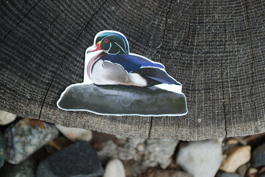Wood Duck Sticker: Waterproof Decal, Hand-Drawn Art