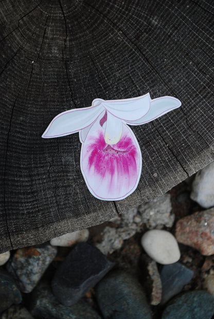 Lady Slipper Sticker: MN State Flower, Waterproof Decal