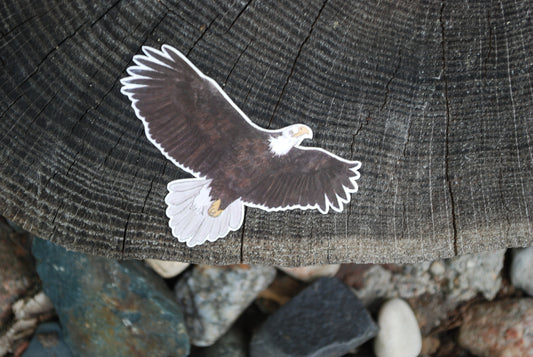 Bald Eagle Sticker: Hand-Drawn Waterproof Decal (3" x 2")