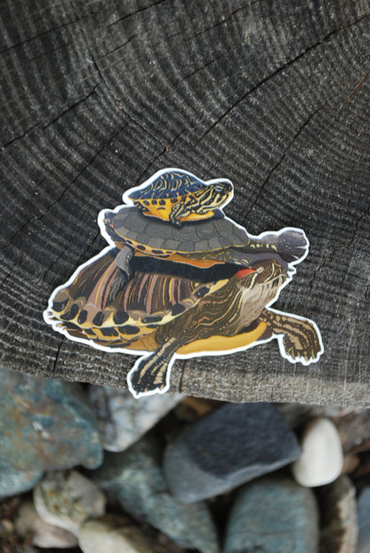 Painted Turtles Waterproof Sticker: Hand-Drawn Lake Life Decal