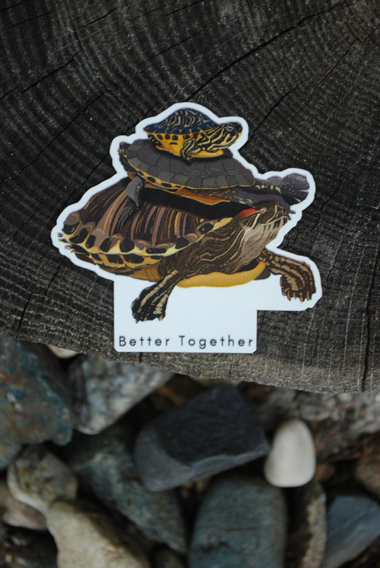 Turtles 'Better Together' Waterproof Sticker: Hand-Drawn Decal