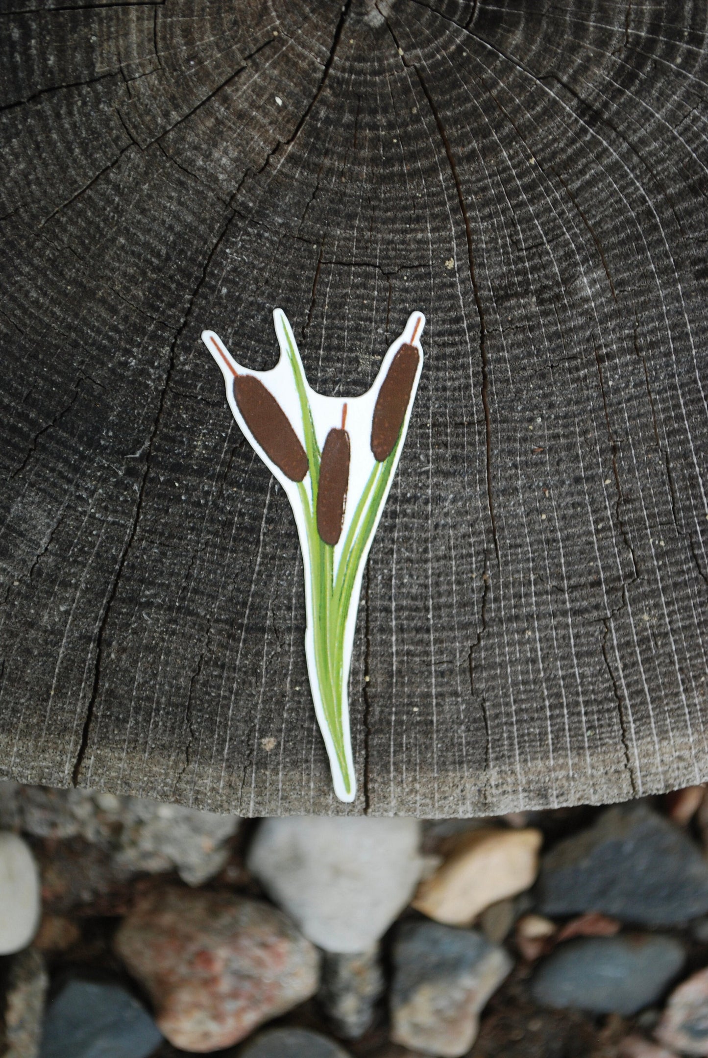 Hand-Drawn Cattail Sticker: Waterproof Nature Decal