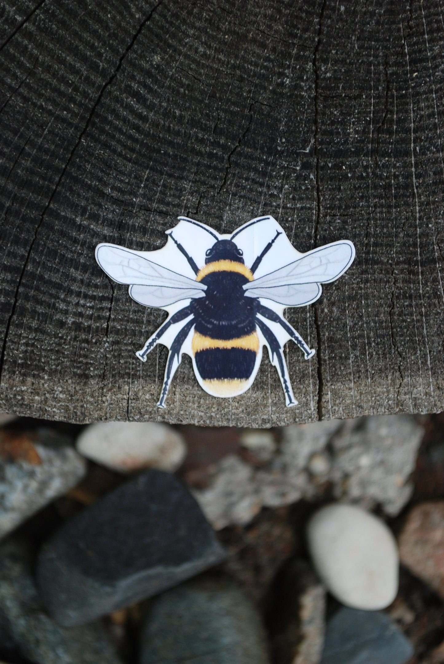 Waterproof Bee Sticker: Hand-Drawn Mini Decal (2" x 1.5")