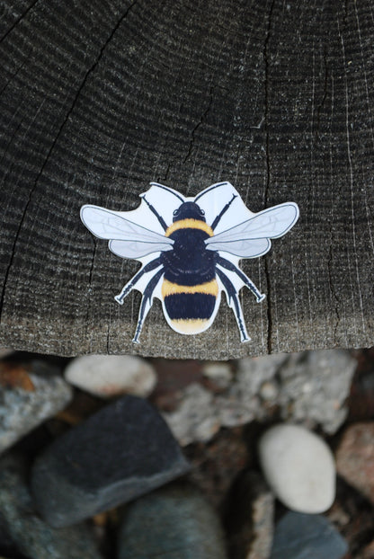 Waterproof Bee Sticker: Hand-Drawn Mini Decal (2" x 1.5")