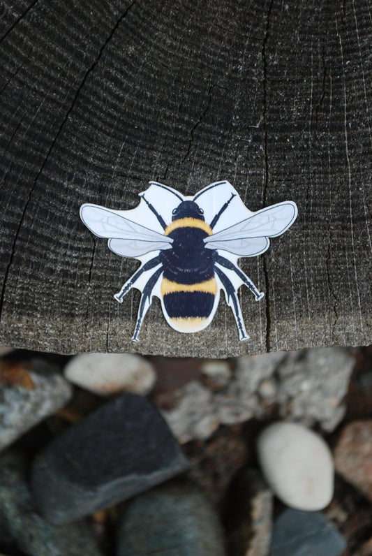 Waterproof Bee Sticker: Hand-Drawn Mini Decal (2" x 1.5")