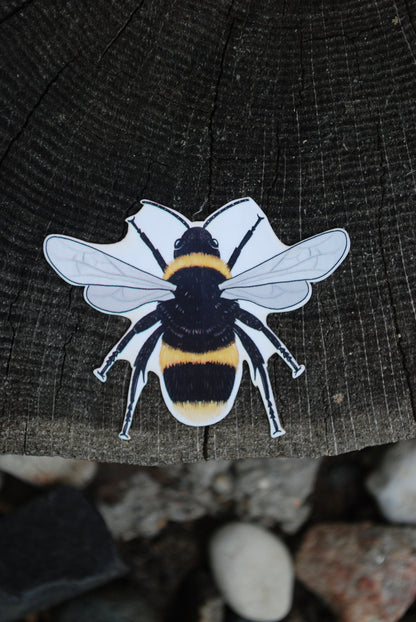 Waterproof Bee Sticker: Hand-Drawn Laptop Decal (2x2.5")