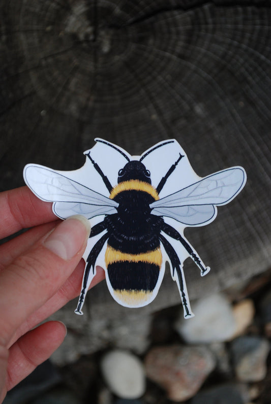 Waterproof Bee Sticker: Hand-Drawn Laptop Decal (3" x 2.5")