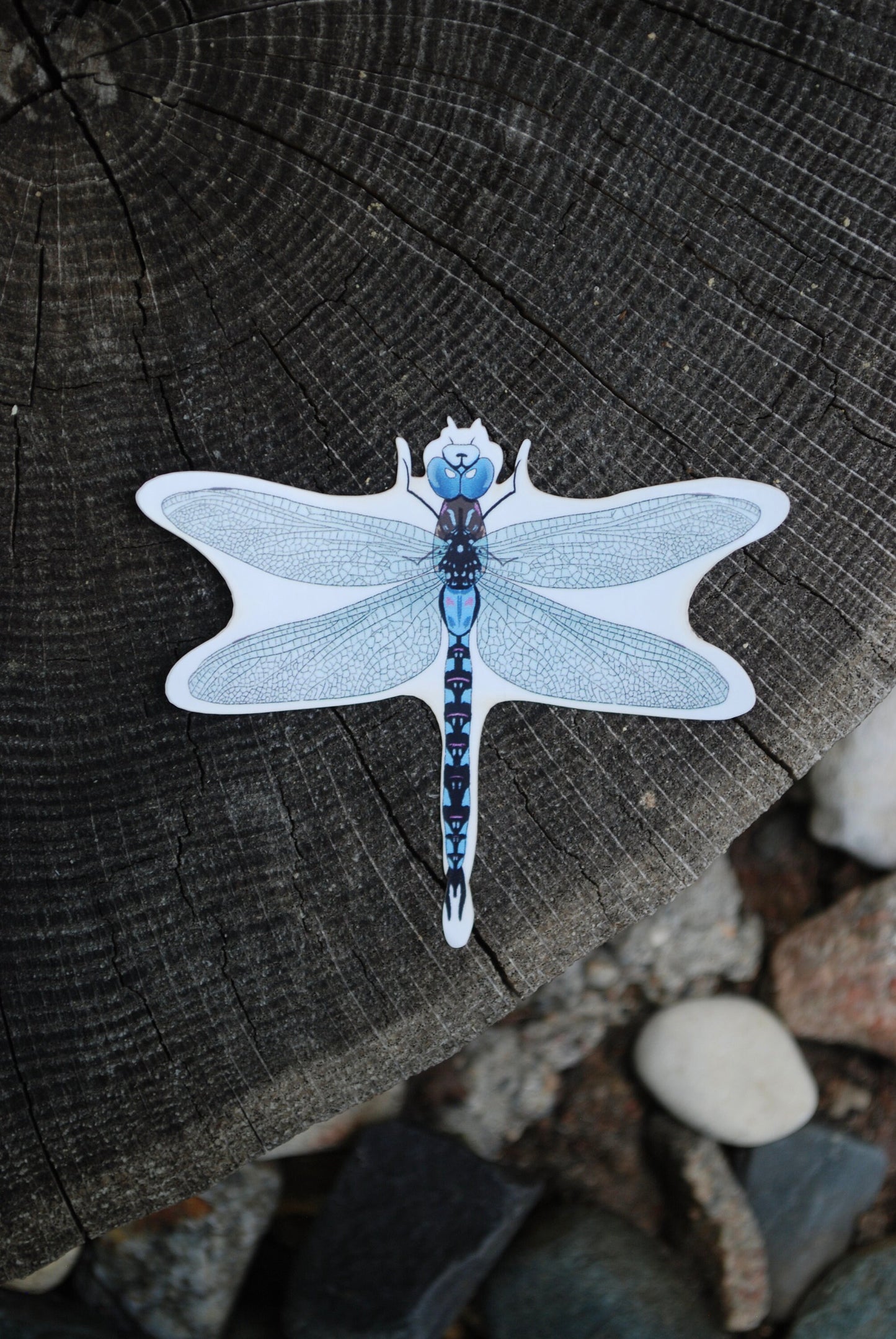 Dragonfly Sticker: Waterproof Outdoorsy Decal