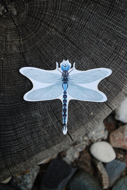 Dragonfly Sticker: Waterproof Outdoorsy Decal