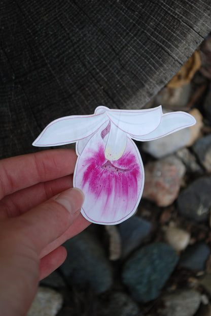Lady Slipper Sticker: MN State Flower, Waterproof Decal