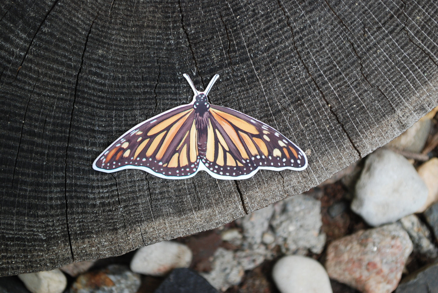 Waterproof Monarch Butterfly Sticker: Hand-Drawn Decal