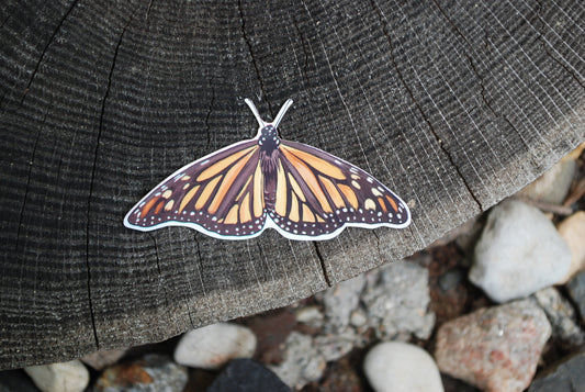 Waterproof Monarch Butterfly Sticker: Hand-Drawn Decal