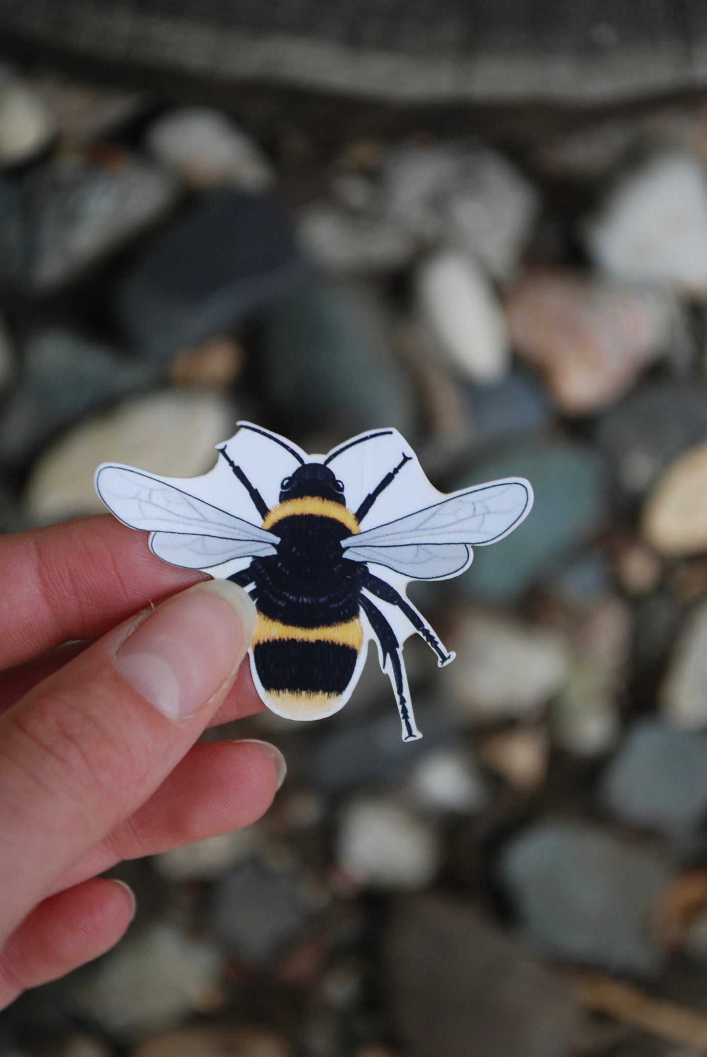 Waterproof Bee Sticker: Hand-Drawn Mini Decal (2" x 1.5")