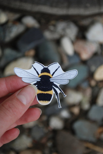 Waterproof Bee Sticker: Hand-Drawn Mini Decal (2" x 1.5")