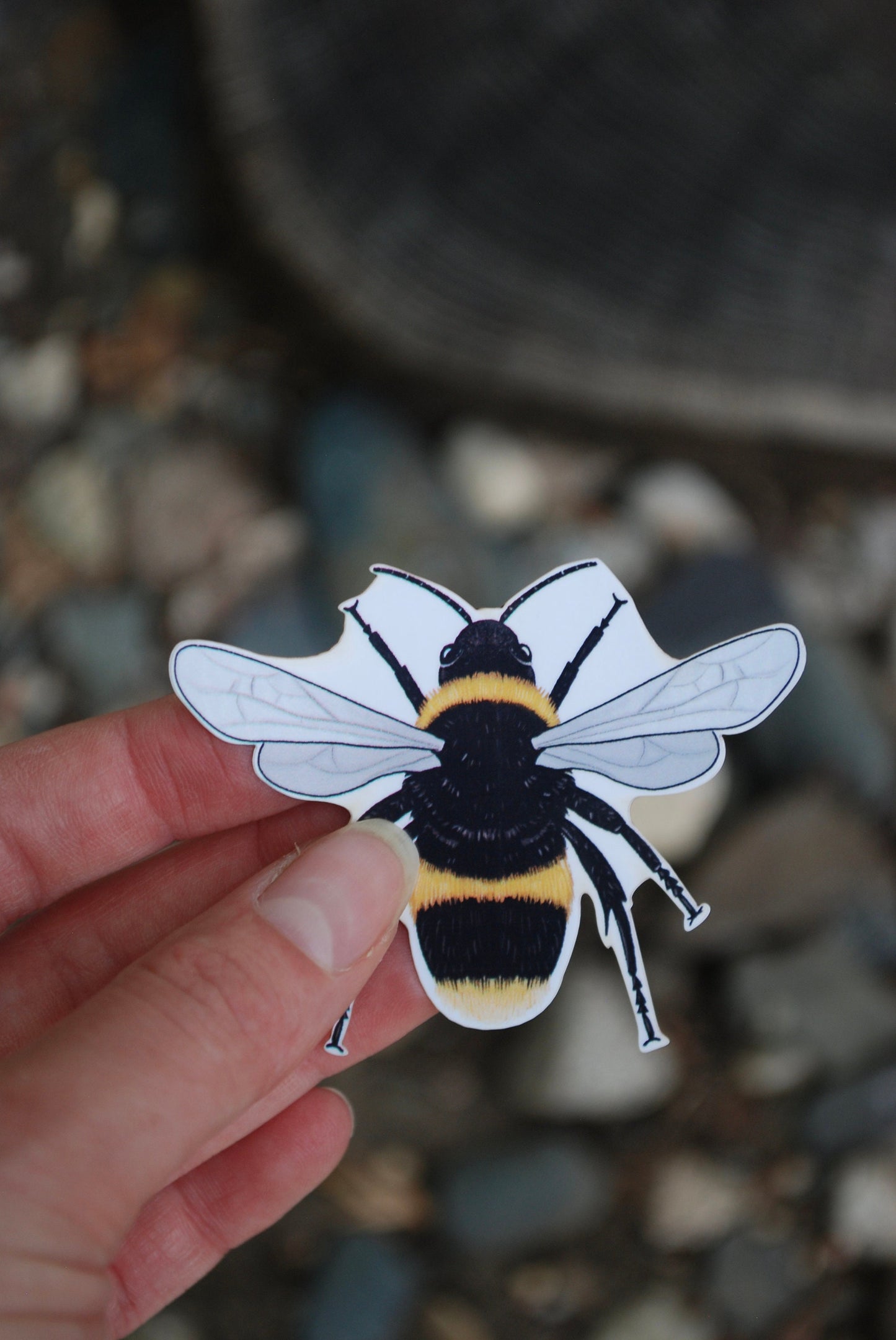 Waterproof Bee Sticker: Hand-Drawn Laptop Decal (2x2.5")