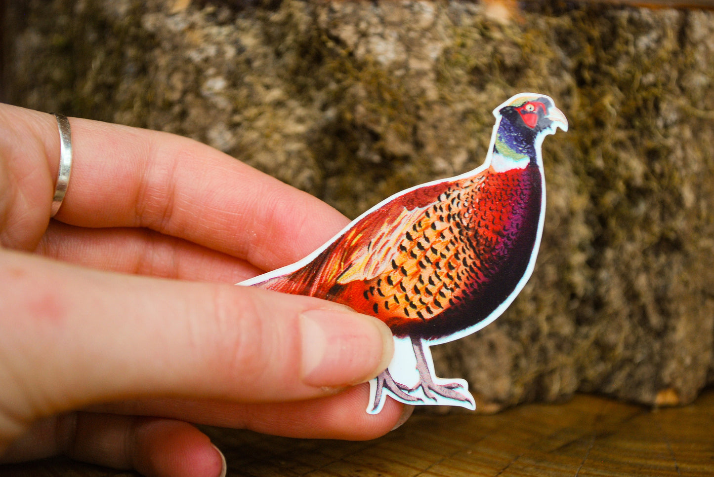 Pheasant Sticker: Waterproof Forest Animal Decal