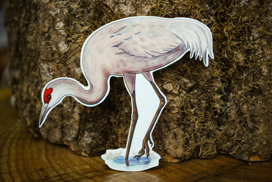 Sandhill Crane Sticker: Waterproof Laptop Decal