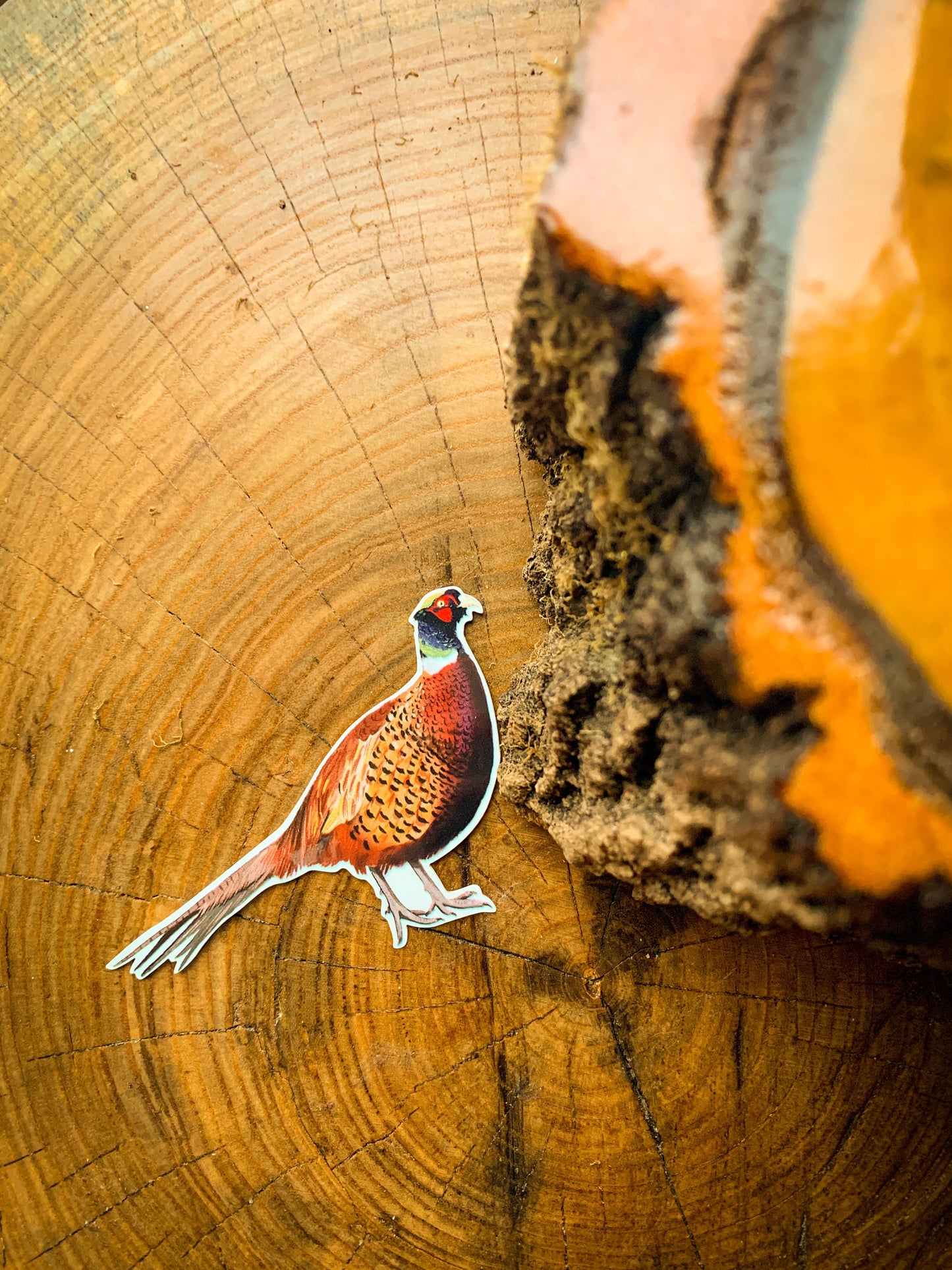 Pheasant Sticker: Waterproof Forest Animal Decal