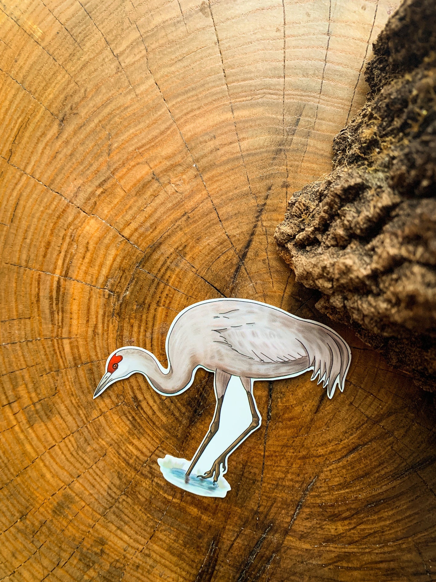 Sandhill Crane Sticker: Waterproof Laptop Decal