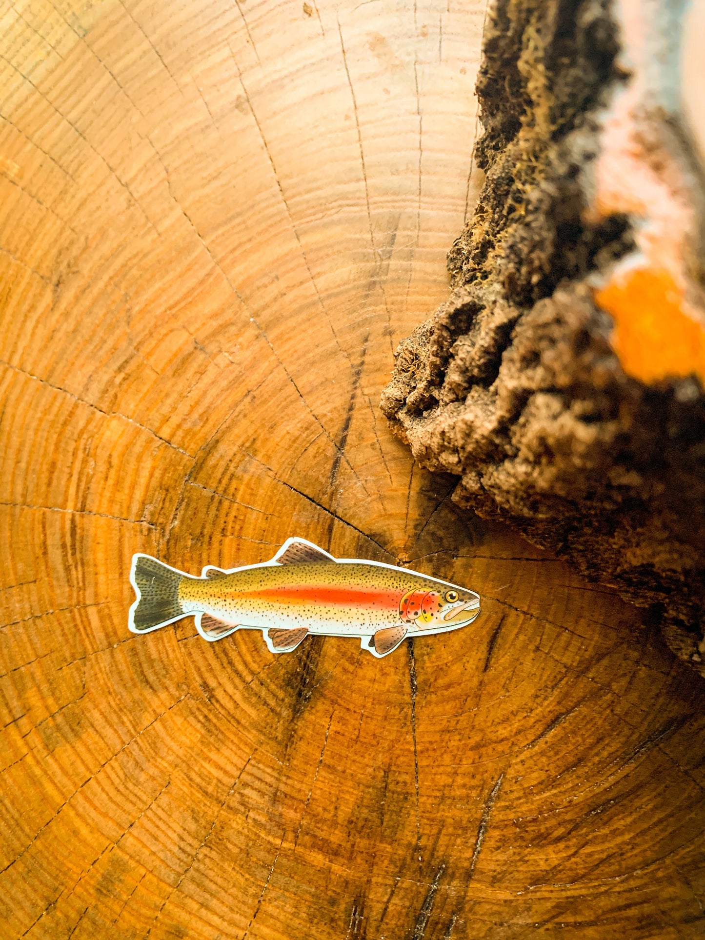 Rainbow Trout Sticker: Waterproof Fishing Decal (3" x 0.97")