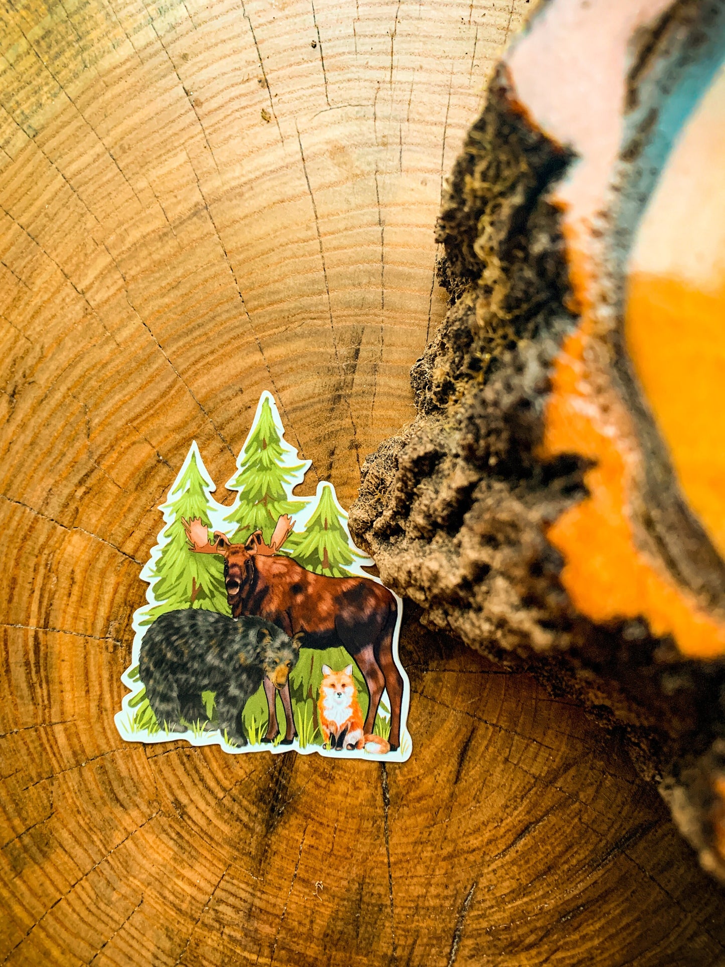 Forest Animals Waterproof Sticker: Bear, Moose, Fox Decal