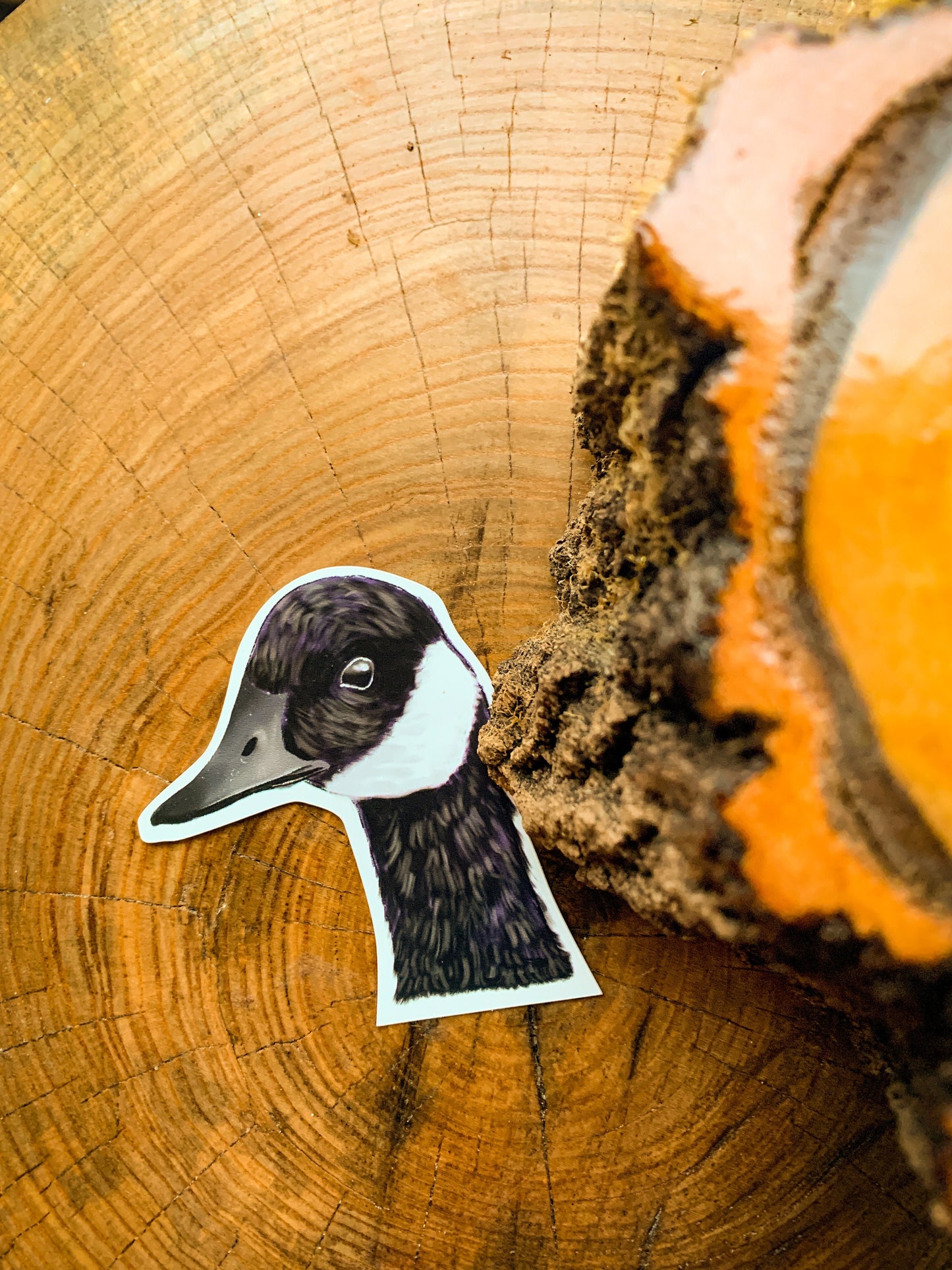 Canadian Goose Head Sticker: Waterproof Laptop Decal