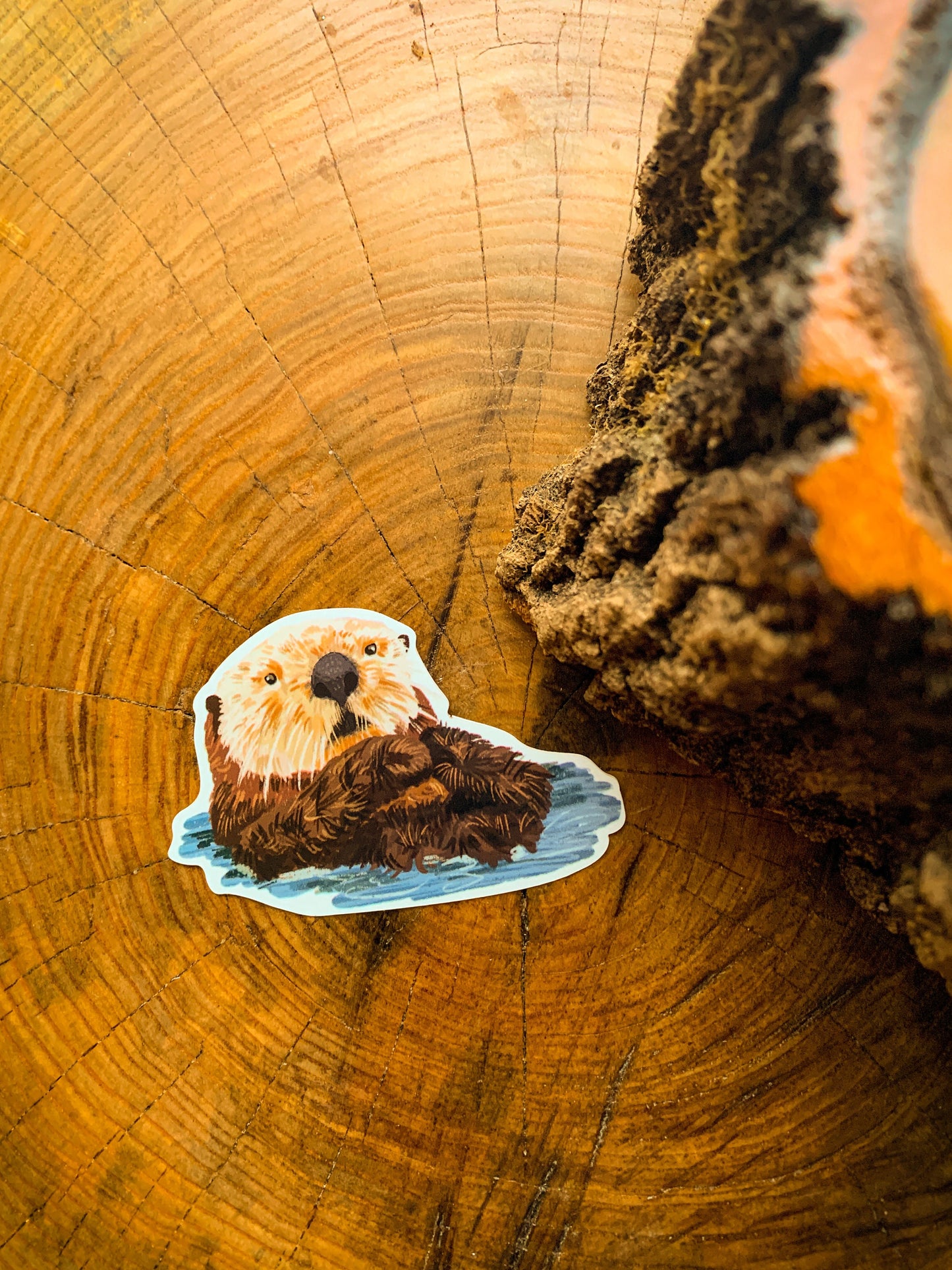 Otter Sticker: Waterproof Wildlife Decal