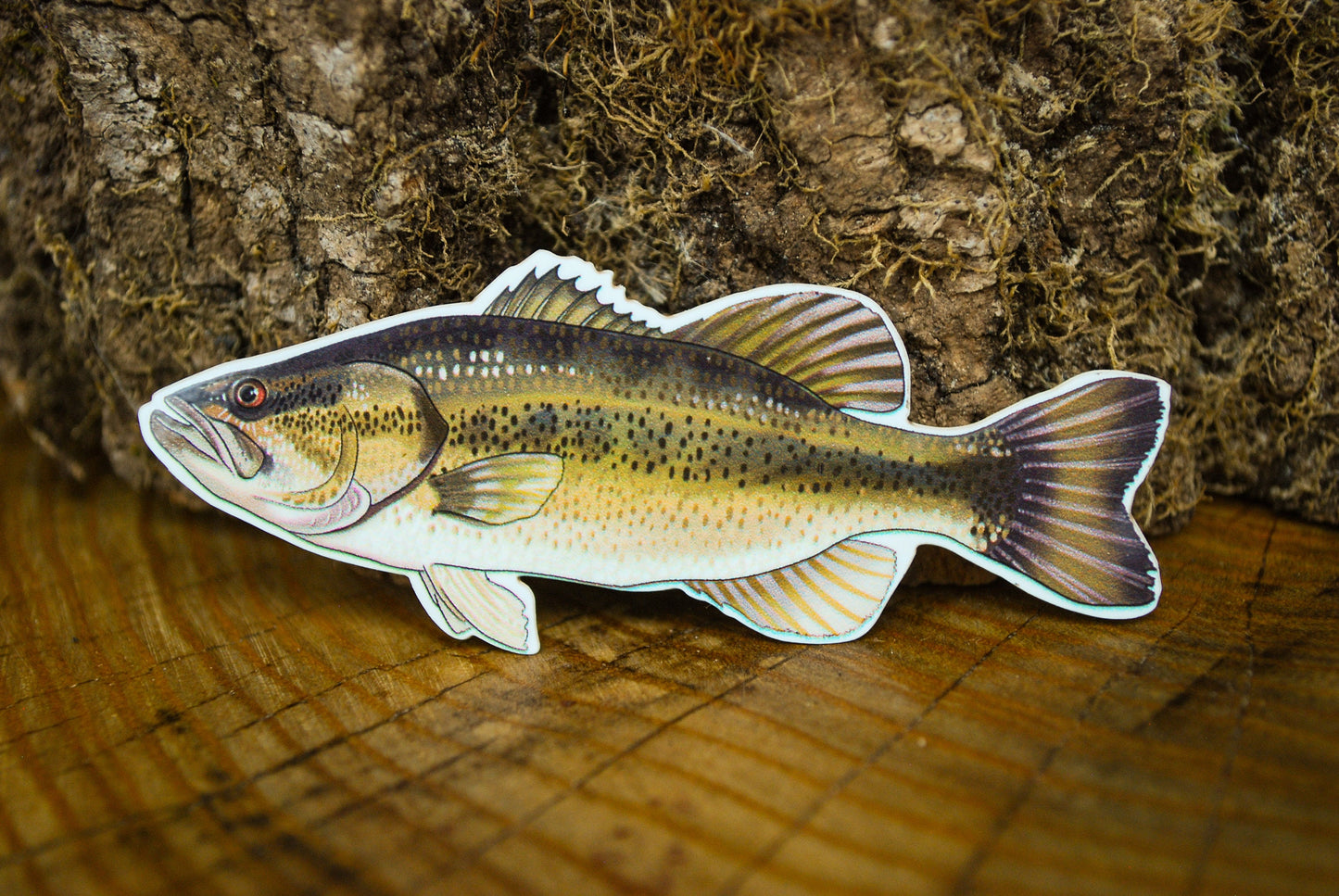 Hand-Drawn Fish Sticker Pack: Crappie, Bass, Trout - Waterproof Decals