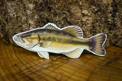 Hand-Drawn Fish Sticker Pack: Crappie, Bass, Trout - Waterproof Decals