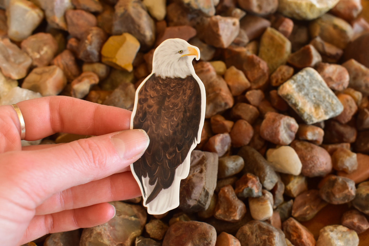 Bald Eagle Sticker: Waterproof Decal for Laptop, Car, and Water Bottle