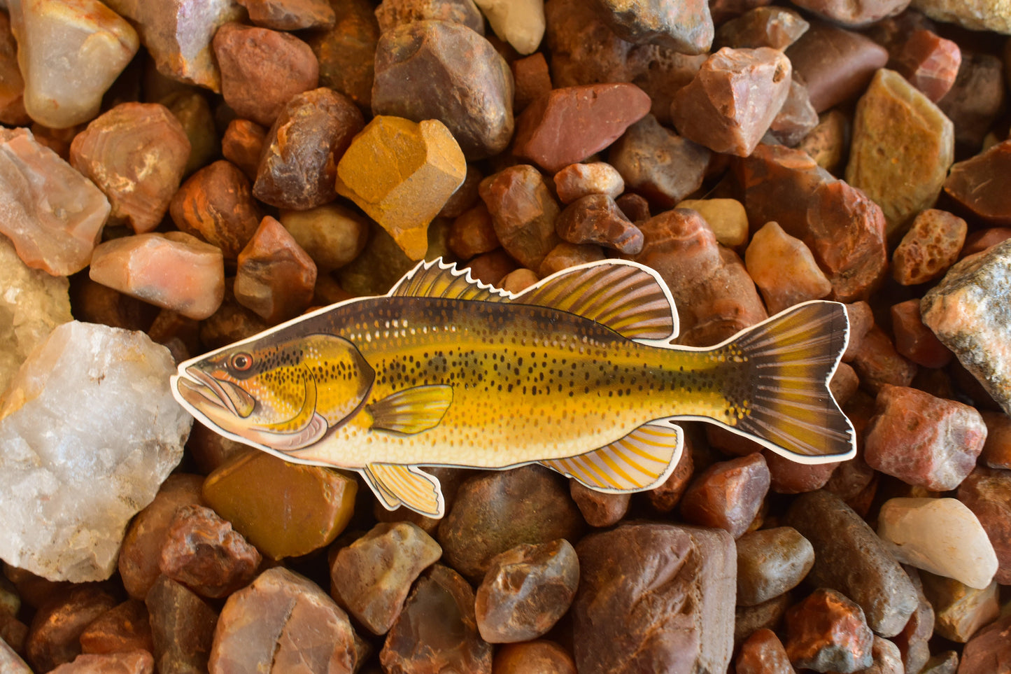 Largemouth Bass Sticker: Waterproof Lake Fish Decal