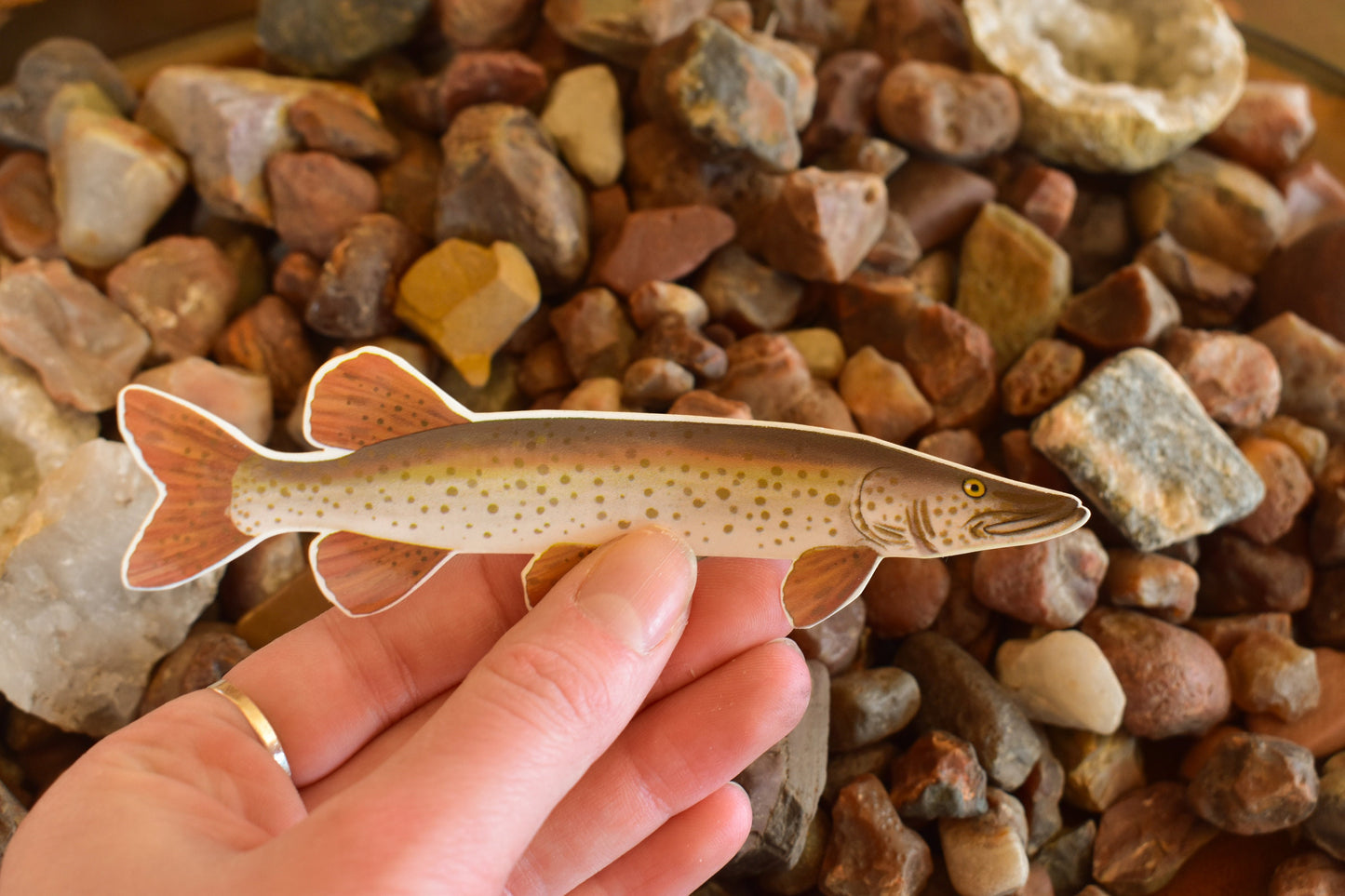 Spotted Musky Fish Sticker: Waterproof Decal, Laptop, Gear