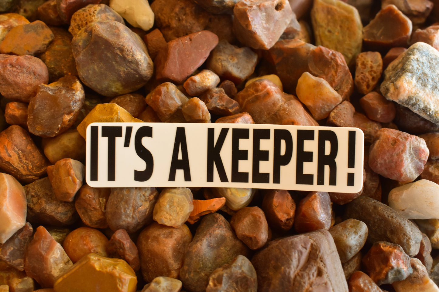It's A Keeper Sticker: Waterproof Fishing Quote Decal