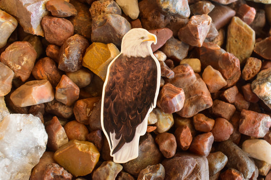 Bald Eagle Sticker: Waterproof Decal for Laptop, Car, and Water Bottle
