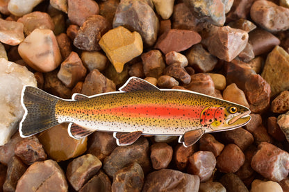 Rainbow Trout Sticker: Waterproof Vinyl Decal for Laptop, Gear