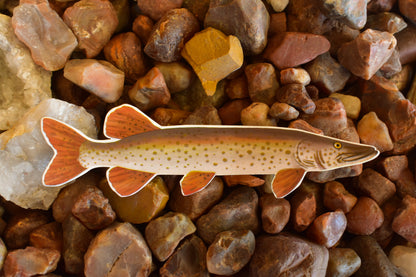 Spotted Musky Fish Sticker: Waterproof Decal, Laptop, Gear