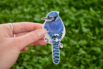 Bluejay Sticker: Hand-Drawn Waterproof Bird Decal