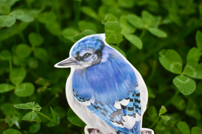 Bluejay Sticker: Hand-Drawn Waterproof Bird Decal