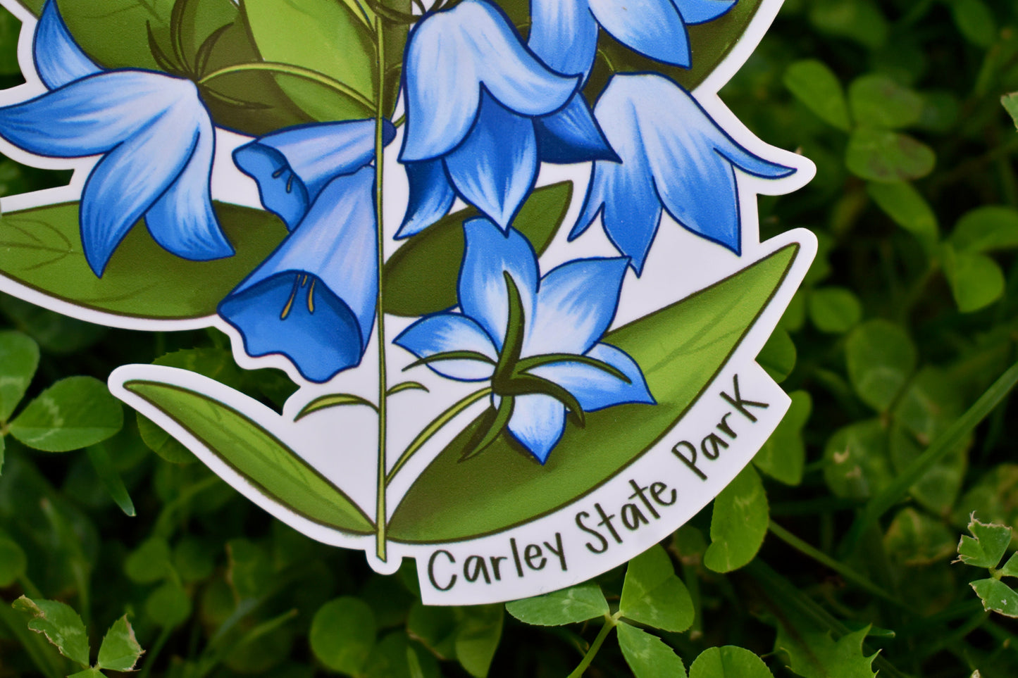 Bluebell Flower Sticker: Waterproof Carley State Park MN Decal