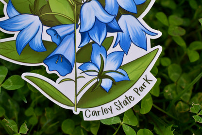 Bluebell Flower Sticker: Waterproof Carley State Park MN Decal