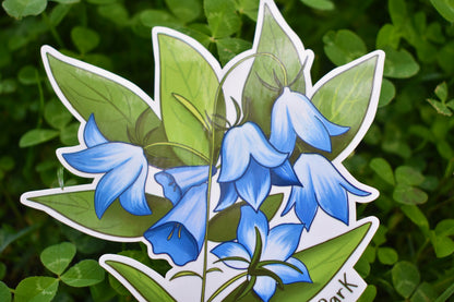 Bluebell Flower Sticker: Waterproof Carley State Park MN Decal