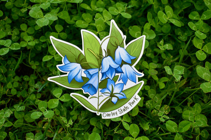Bluebell Flower Sticker: Waterproof Carley State Park MN Decal