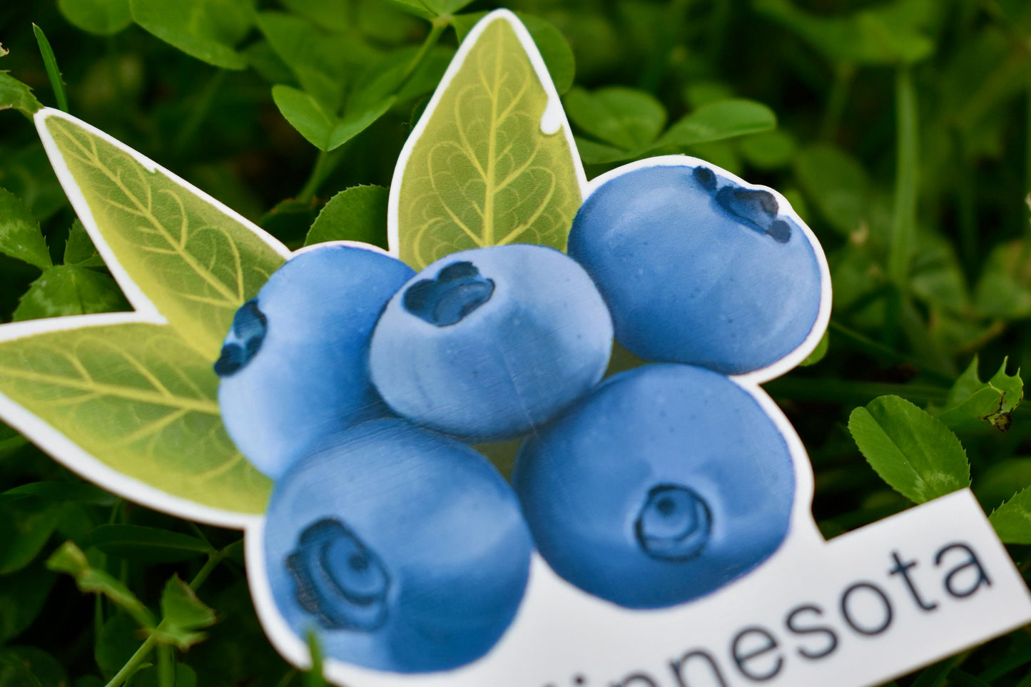 Blueberries Ely, Minnesota Sticker: Waterproof Travel Decal