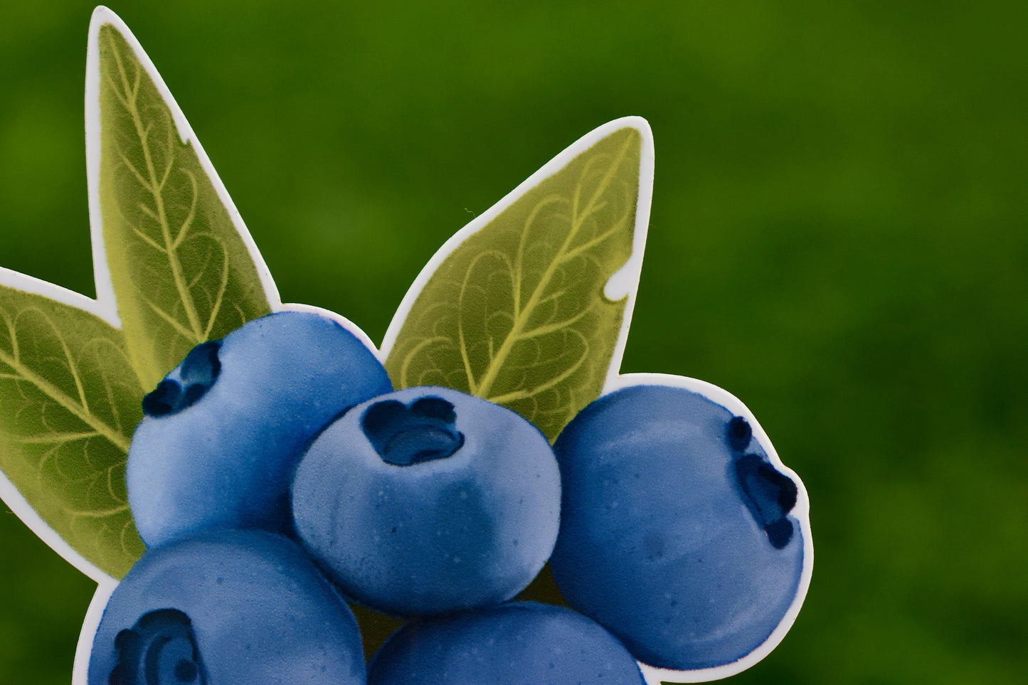 Blueberries Ely, Minnesota Sticker: Waterproof Travel Decal