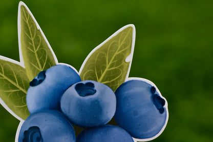 Blueberries Ely, Minnesota Sticker: Waterproof Travel Decal