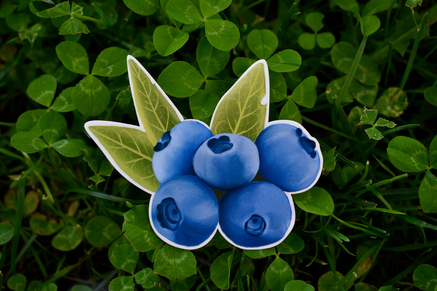 Blueberries Sticker: Waterproof Laptop Decal, Hand Illustrated