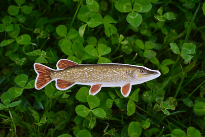 Northern Pike Sticker: Waterproof Fish Decal (3.6" x 1.2")